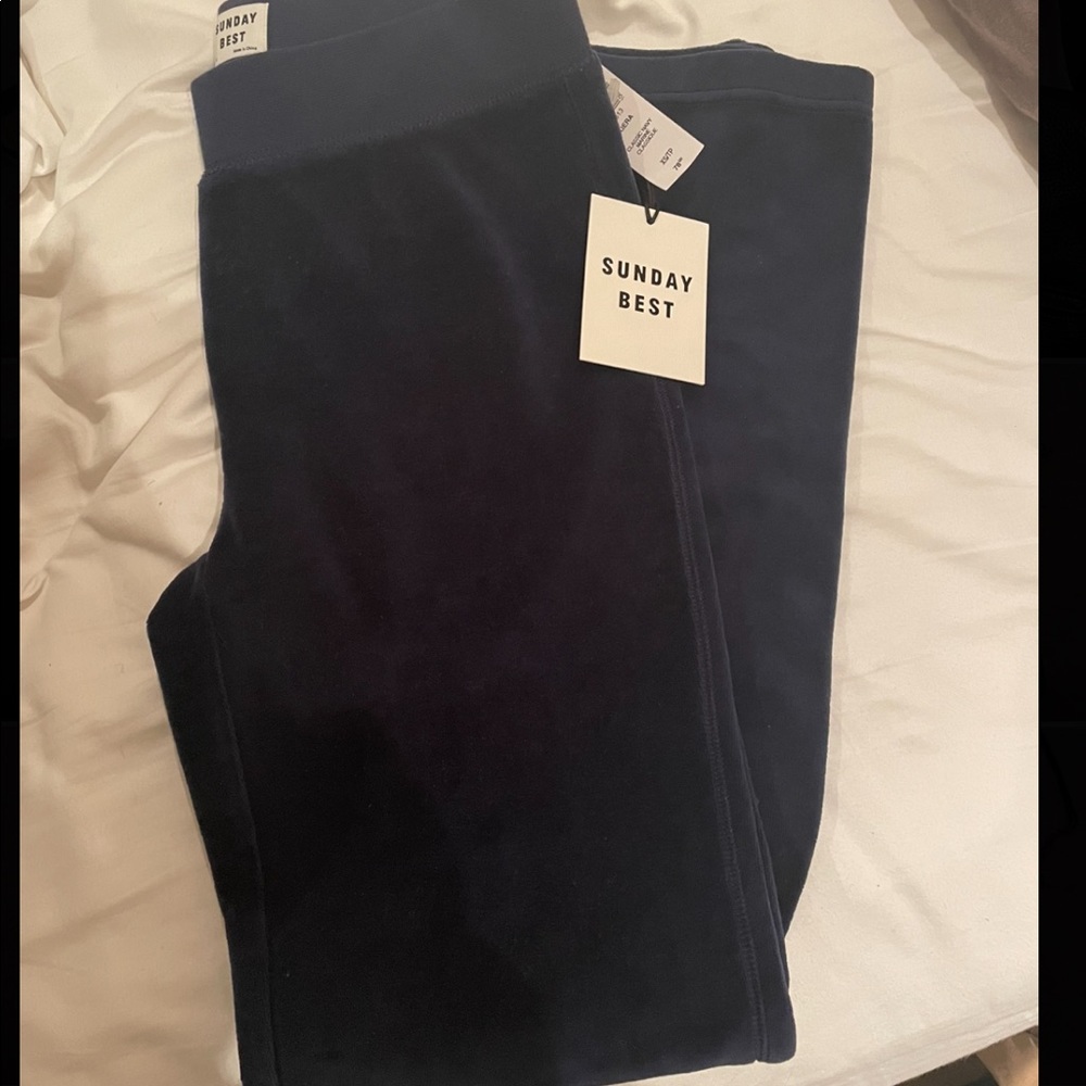 Brand new Aritzia Sunday best pants